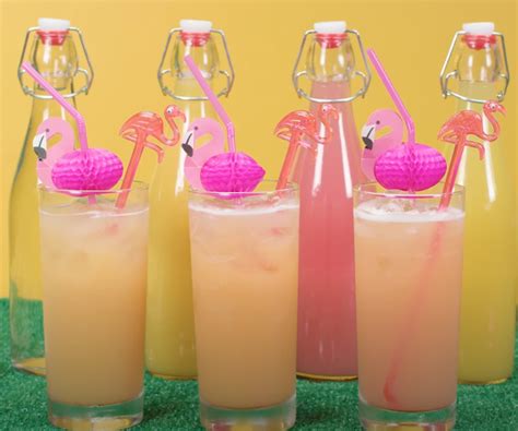 Summer Pink Flamingo Drink Recipe | Evite