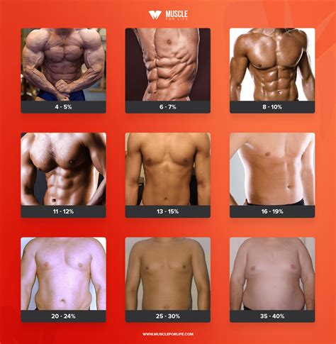 What Are Healthy and Unhealthy Body Fat Percentages? - Legion Athletics