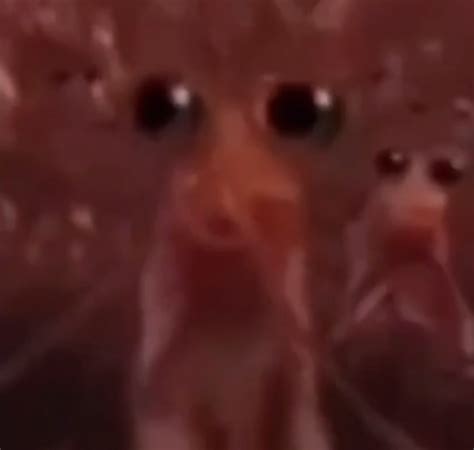 One in a krillion | Fandom