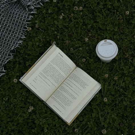 What Is The Best App To Learn A Language: Duolingo vs Babbel?