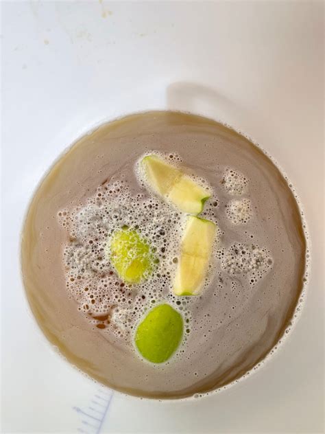 The Art Of Fermentation