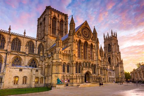 20 Facts About Yorkshire Pigs - Facts.net