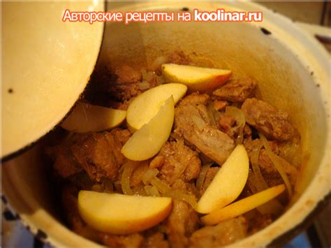 Томленая свинина с имбирем и луком - пошаговый рецепт с фото (26880 ...