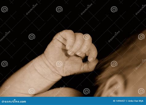 Clenched Hand of Newborn Baby Stock Image - Image of cute, details: 1494457