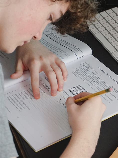 Our First Year Homeschooling: Curriculum Picks - Homeschool Pickle