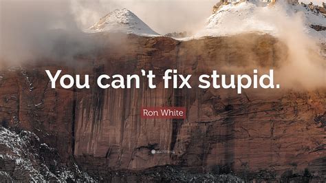 Ron White Quote: “You can’t fix stupid.”