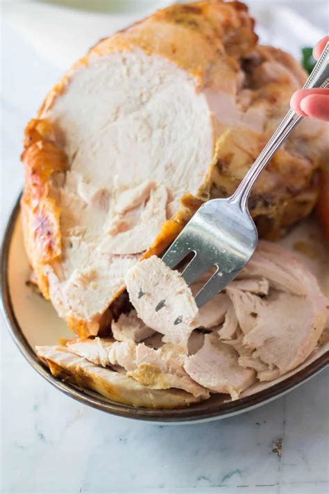 Slow Cooker Turkey Breast Onion Soup at Lydia Christopher blog