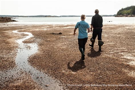 Colleen Haskell 2022