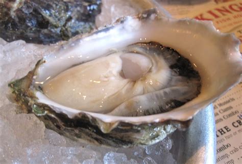 Cannundrums: Oyster Varieties