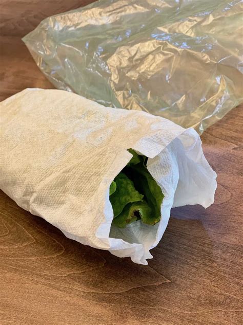 Shredded Romaine Lettuce