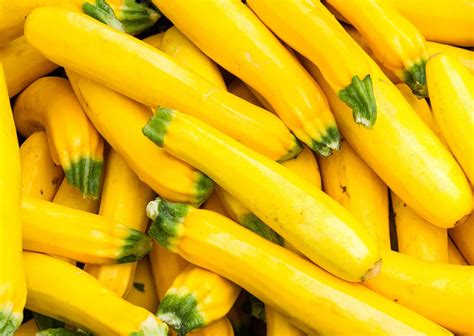 14 Types of Squash: Winter and Summer Squashes