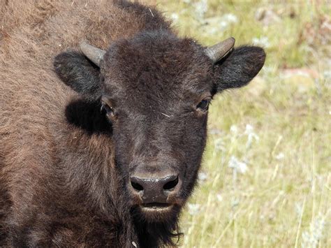 Lisa Crawford Porn Videos