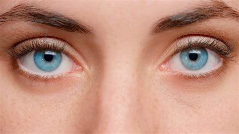 Do Blue Eyes See Better in the Dark? This Is What Experts Say - A-Z Animals