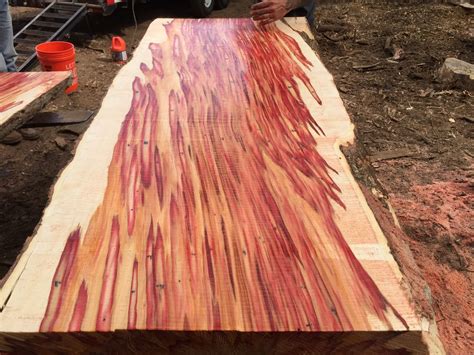 Box Elder Logs For Sale at Shawn Keim blog