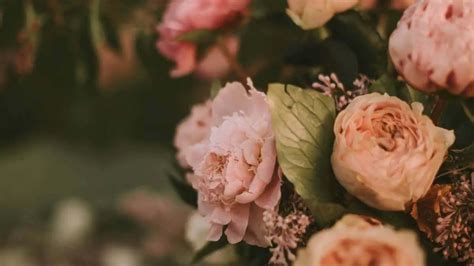 McEvoy Funeral Home | Paris, TN