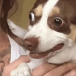 Rough Kiss Making Out GIF (642×500) - Rough Kiss | GIFDB.com