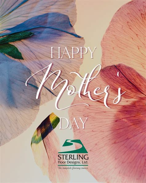 Sterling Floor Designs (@sterlingfloordesigns) • Instagram photos and ...