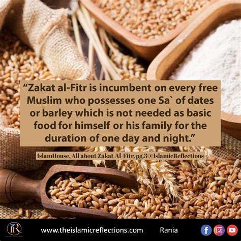 Zakat al-Fitr - Islamic Reflections