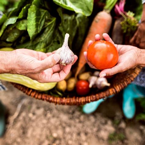 How To Define Homesteading: A Modern Day Definition