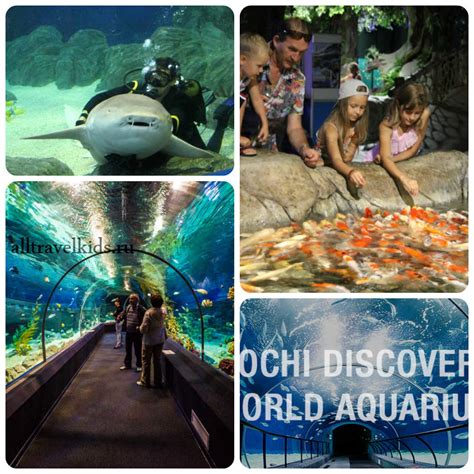 Океанариум в Адлере (sochi discovery world aquarium) Сочи Дискавери Ворлд