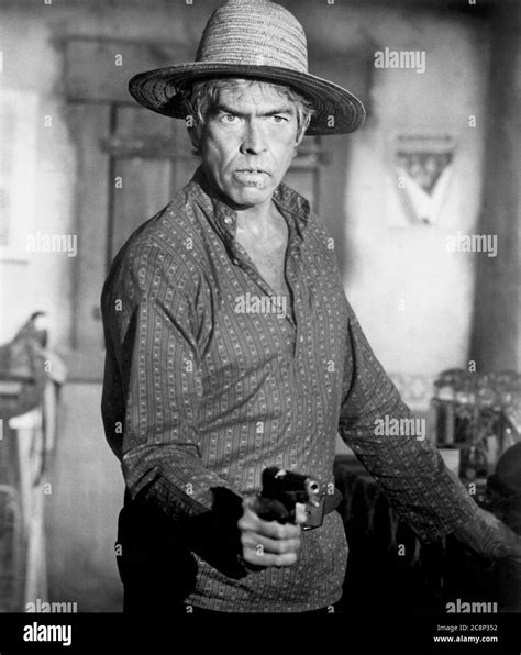 James Coburn High Resolution Stock Photography and Images - Alamy