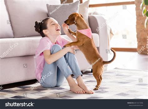 1+ Hundred Cute Girl Dog Knot Royalty-Free Images, Stock Photos ...