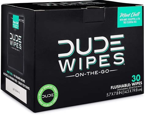 Dude Wipes On-The-Go Flushable Wet Wipes 2 Pack - Mint Chill 60 Wipes ...