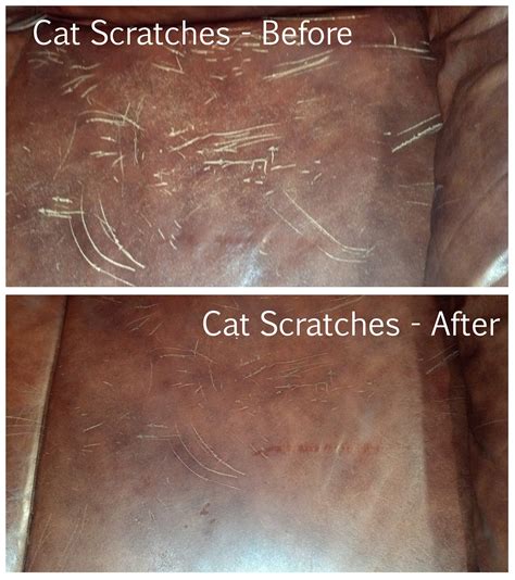 Four Sisters Farm: Cat Scratch Fever - Leather Furniture Restored...Somewhat