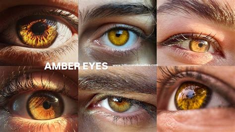 Amber Eyes: Rare Eye Color, Meaning & Contact Lens Match – Billionaire Beauties