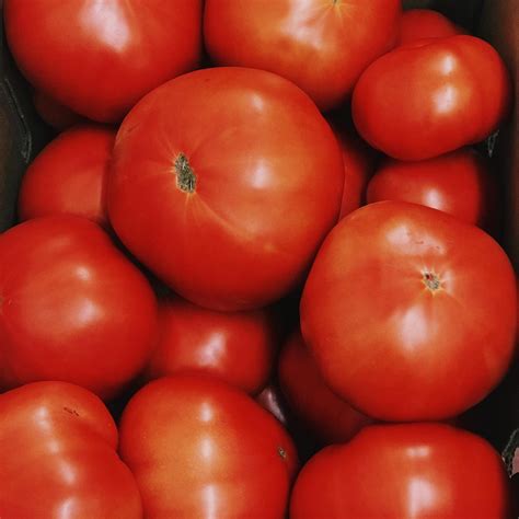 Sautters Grocery Sylvania Ohio