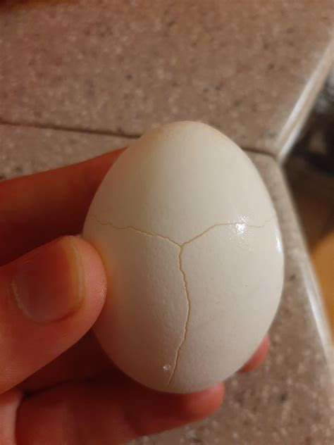 My pre-cracked egg. : r/mildlyinteresting
