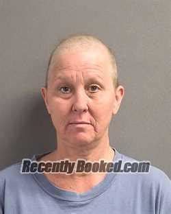 LAURI ANN MCNALLY Arrest Record & Booking Info - Volusia County ...