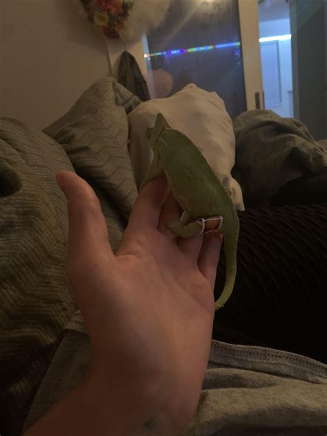 Can someone please rescue kiwi 🥝 me and my husband have no money to take her to a vet or care ...