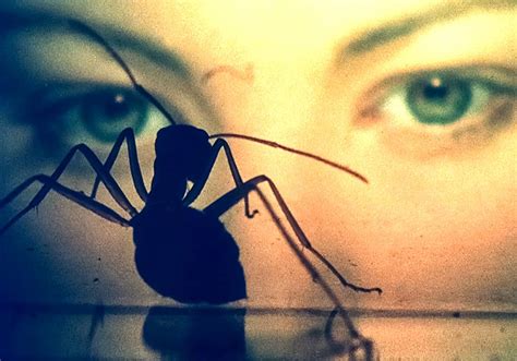 Phase IV | Film-Rezensionen.de