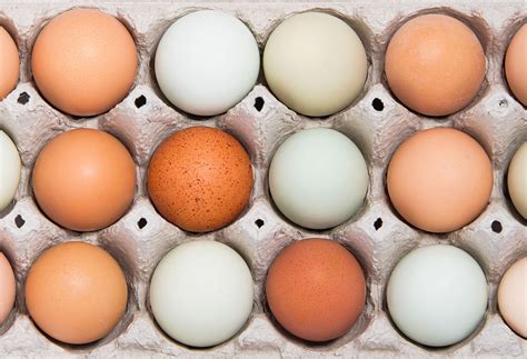 When Do Eggs Expire? | The Well by Northwell