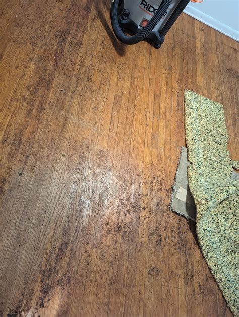 How to Clean Hardwood Floors After Removing Carpet: Expert Tips ...