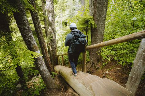 Exactly How to Reach Diamond Creek Falls Hike (See The Most Beautiful ...