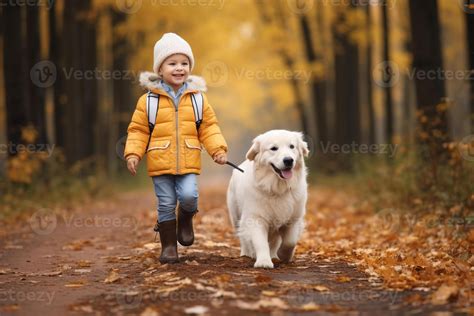 Happy joyful little boy walking with dog white golden. 25474172 Stock ...