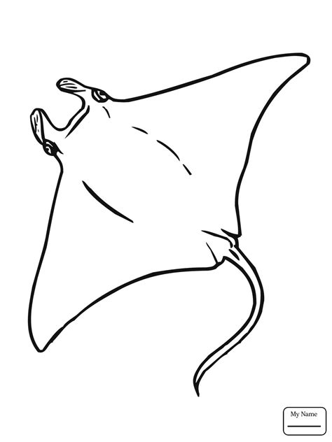 Sting Ray Drawing at GetDrawings | Free download