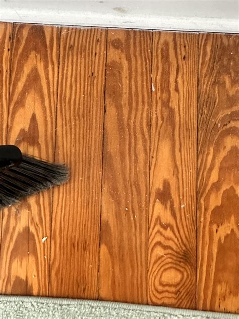 Buff Floors? : r/centuryhomes