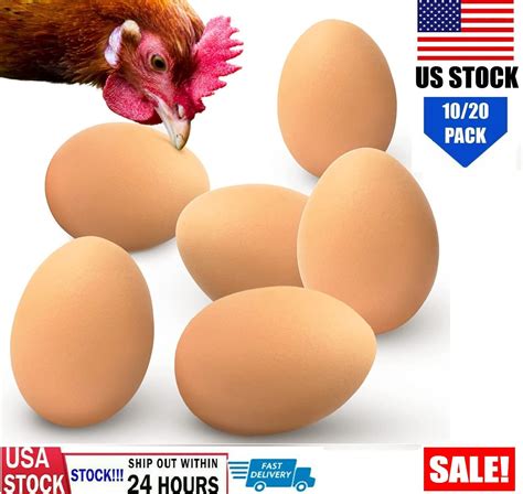 20× Fake Dummy Egg Hen Chicken Joke Prank Plastic Eggs Encourage Hens ...