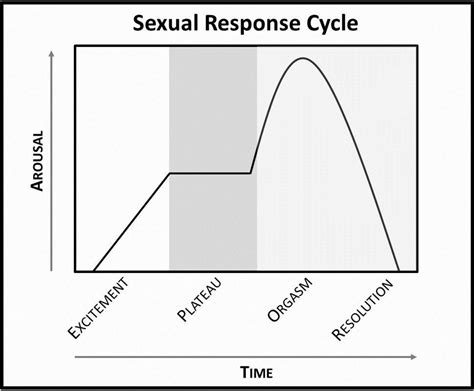 A biopsychosocial approach to women’s sexual function and dysfunction ...