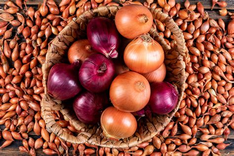 Indonesia requests 900,000 tonnes of onions from India amid export ban - DST - Daily Shipping Times