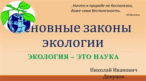 Основные законы экологии - презентация онлайн