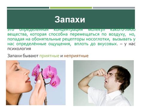 Невербальные средства общения. Ольфакторные - презентация онлайн