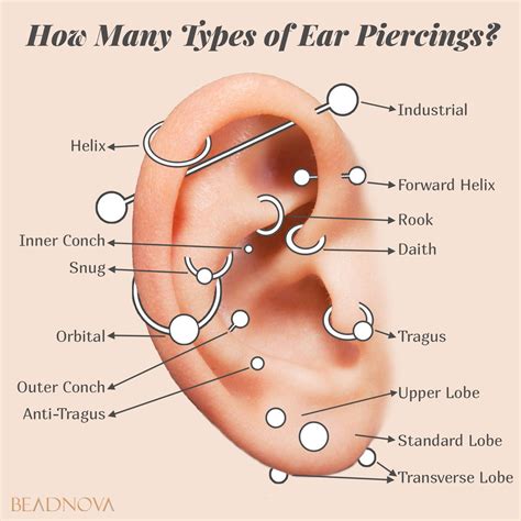Popular Types of Body Piercings - Beadnova | Types of ear piercings ...