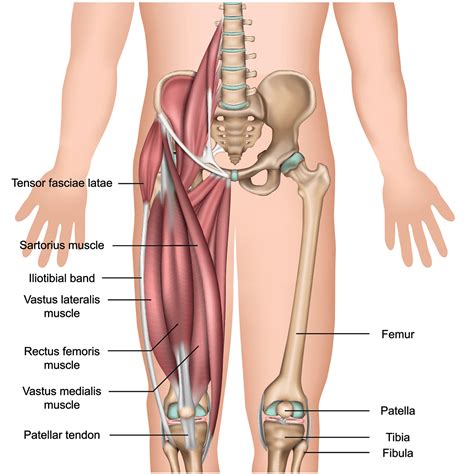 Vastus Medialis Pain