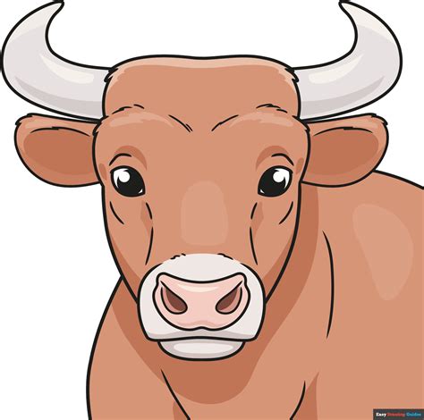 Bull Drawing