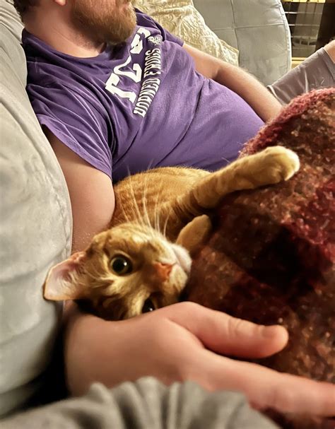 “Dad’s great, but you’ll always be my #1” : r/Catsmirin