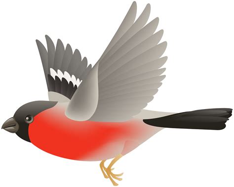 Flying Birds Clip Art